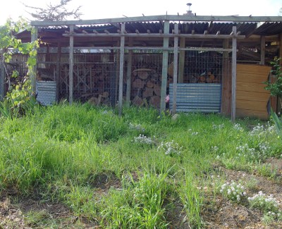 Before - the Garden of the Future