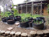 Now - the Garden of the Future