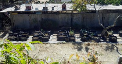 Grow Bags Garden, before