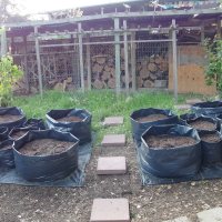 The Garden of the Future in the making