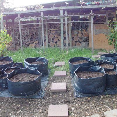 The Garden of the Future in the making