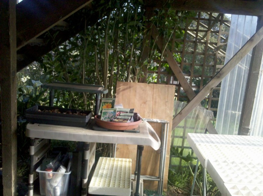 Total Spring Explosion, part&nbsp;2