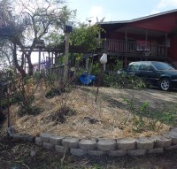 After - the Rose-Berry bed