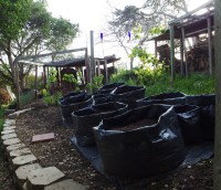 Becoming - the Garden of the Future