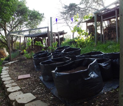 Becoming - the Garden of the Future