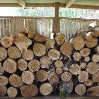 Firewood stacked and ready